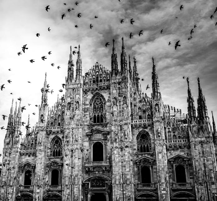 Gothic cathedral birds flying