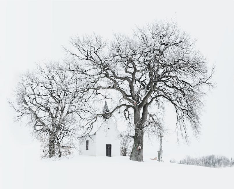 Winter scene in Galax