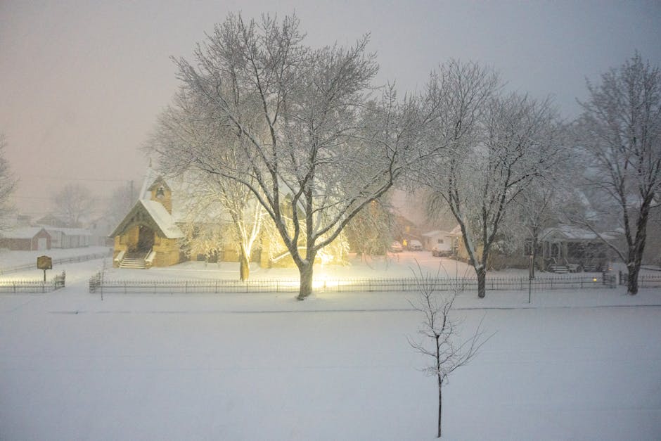 Snowy scene winter night